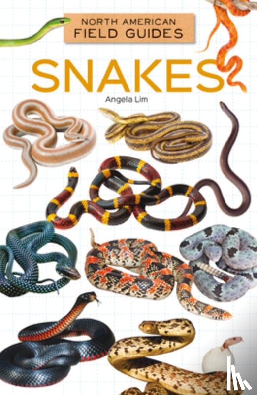 Lim, Angela - Snakes