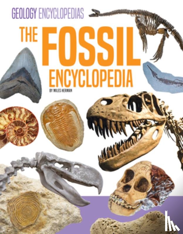 Herman, Miles - Fossil Encyclopedia