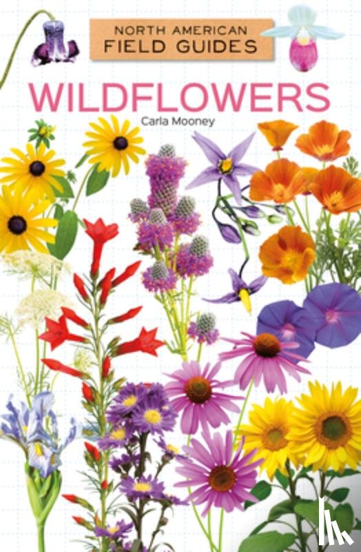 Mooney, Carla - Wildflowers