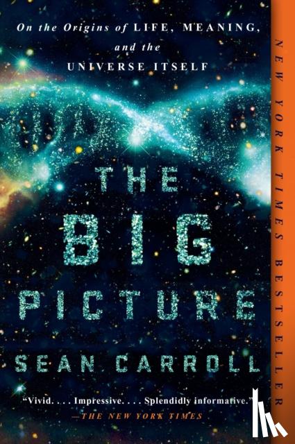 Carroll, Sean - Big Picture