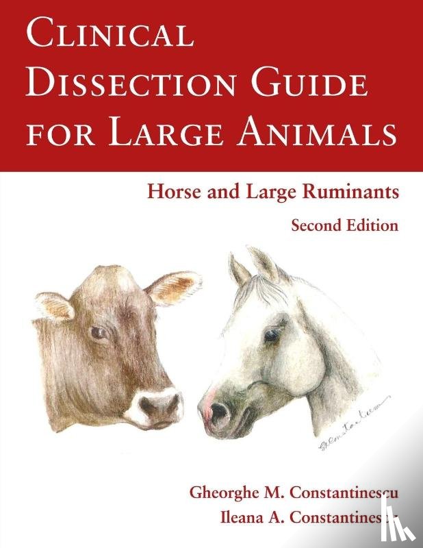 Constantinescu, Gheorghe - Clinical Dissection Guide for Large Animals