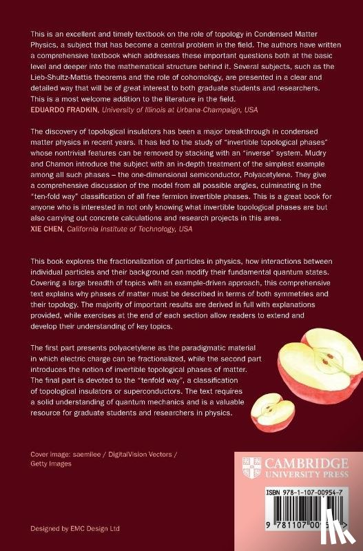 Mudry, Christopher (Professor, Chamon, Claudio (Dr - Fractionalization of Particles in Physics