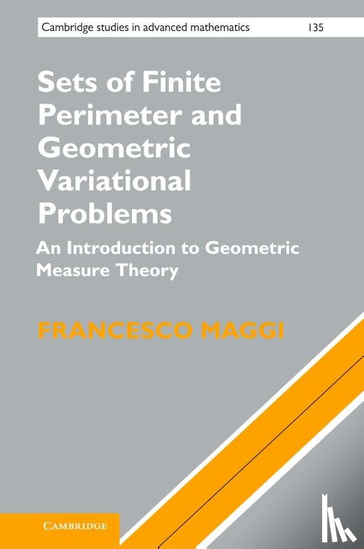 Maggi, Francesco (Universita degli Studi di Firenze - Sets of Finite Perimeter and Geometric Variational Problems