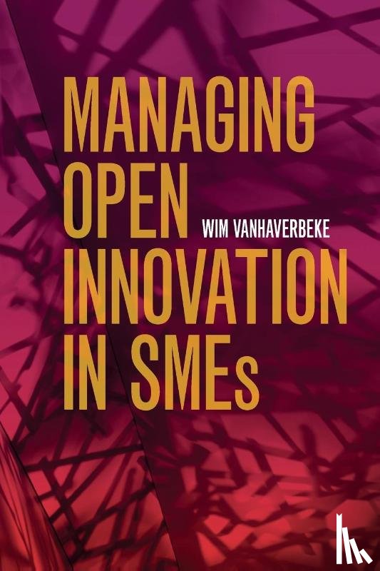 Vanhaverbeke, Wim (Hasselt Universiteit - Managing Open Innovation in SMEs
