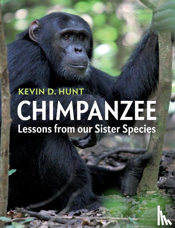Hunt, Kevin D. (Indiana University - Chimpanzee