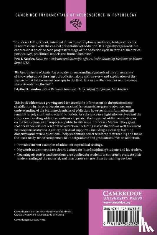 Filbey, Francesca Mapua (University of Texas - The Neuroscience of Addiction