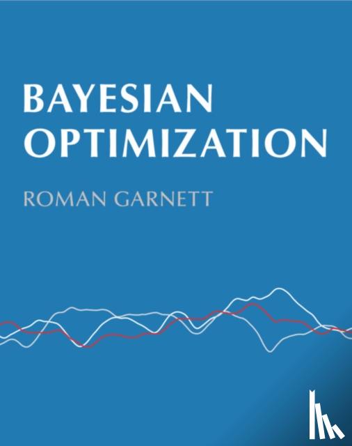 Garnett, Roman (Washington University in St Louis) - Bayesian Optimization