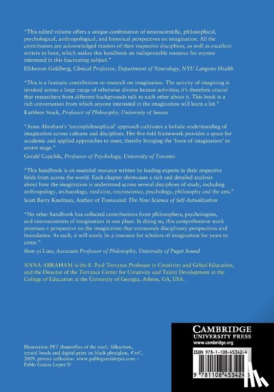  - The Cambridge Handbook of the Imagination
