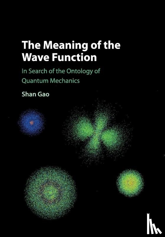 Gao, Shan - The Meaning of the Wave Function