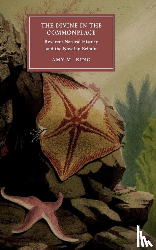 King, Amy M. (St John's University - The Divine in the Commonplace