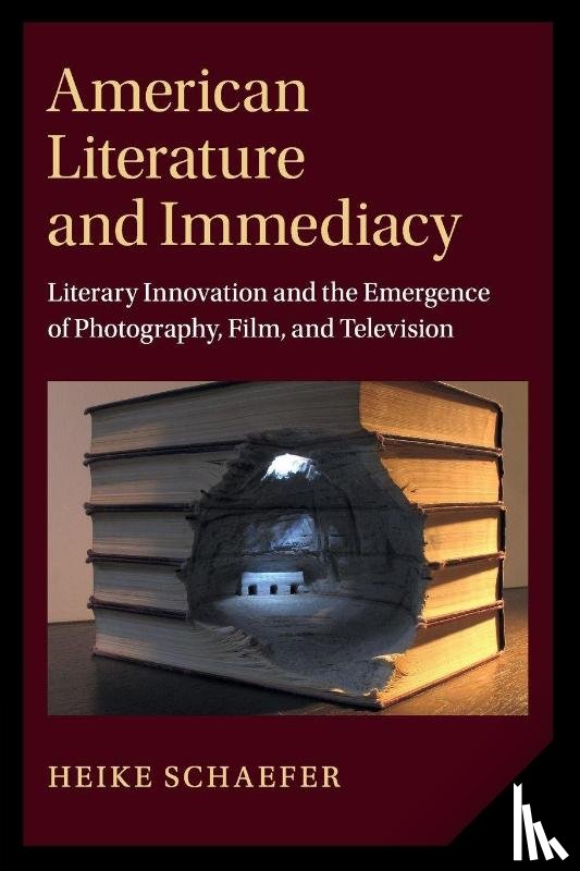 Schaefer, Heike - American Literature and Immediacy