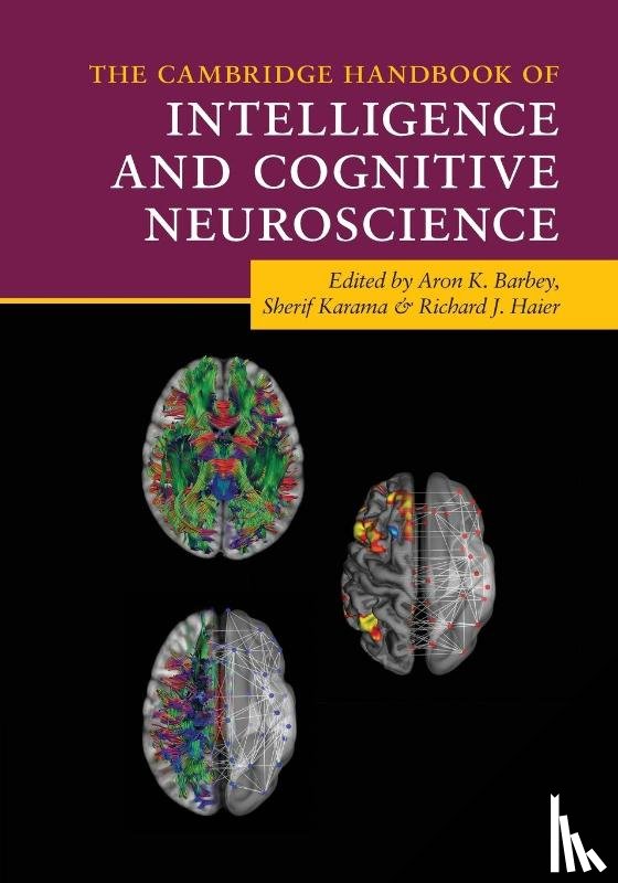  - The Cambridge Handbook of Intelligence and Cognitive Neuroscience