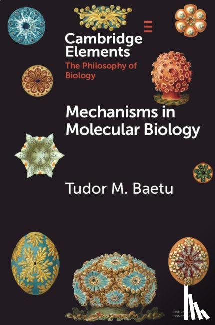 Baetu, Tudor - Mechanisms in Molecular Biology