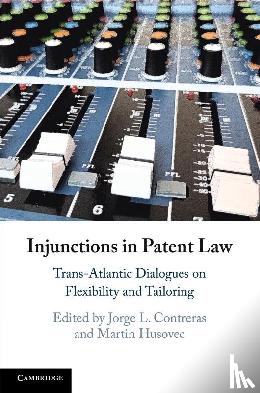  - Injunctions in Patent Law