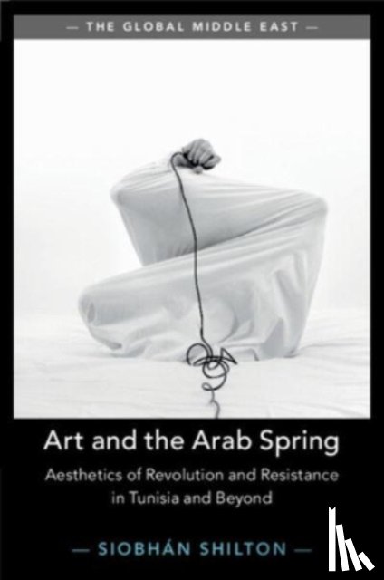 Shilton, Siobhan (University of Bristol) - Art and the Arab Spring