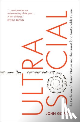 Gowdy, John M. (Rensselaer Polytechnic Institute - Ultrasocial
