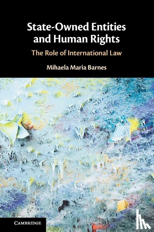 Barnes, Mihaela Maria - State-Owned Entities and Human Rights