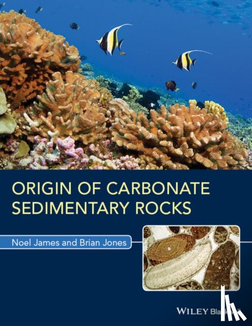 Noel P. James, Brian Jones - Origin of Carbonate Sedimentary Rocks
