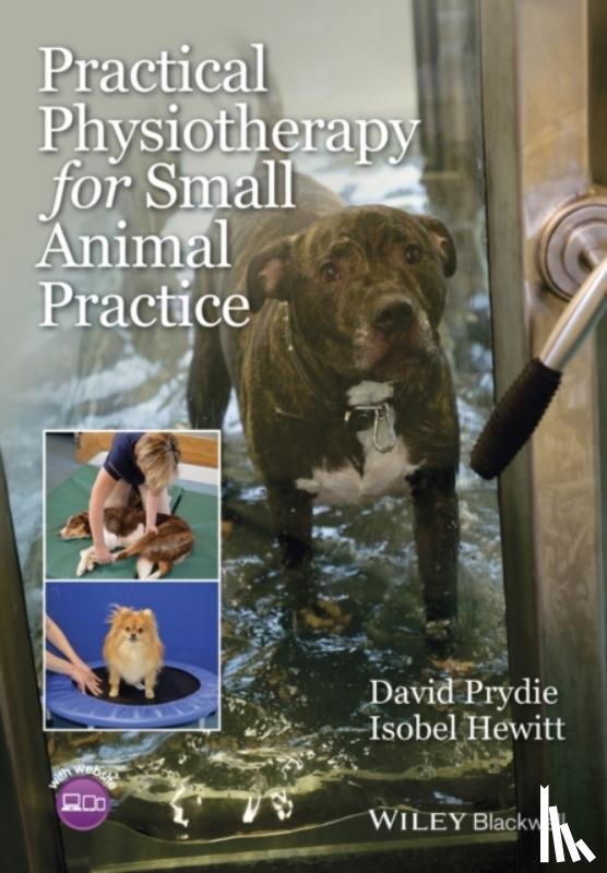 Prydie, David, Hewitt, Isobel - Practical Physiotherapy for Small Animal Practice
