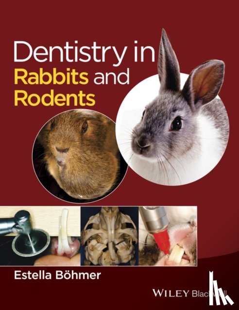 Bohmer, Estella (Ludwig-Maximilians-Universitat - Dentistry in Rabbits and Rodents