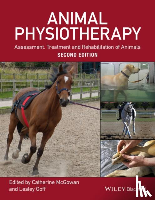  - Animal Physiotherapy