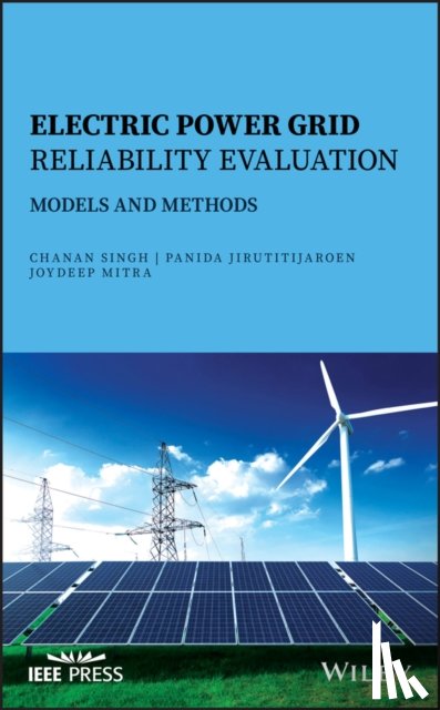 Singh, Chanan, Jirutitijaroen, Panida, Mitra, Joydeep - Electric Power Grid Reliability Evaluation