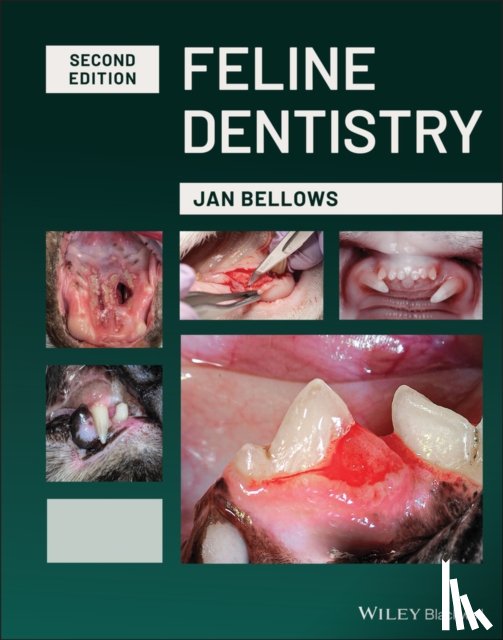 Bellows, Jan (American Veterinary Dental College and American Board of Veterinary Practitioners - Feline Dentistry
