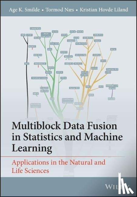Smilde, Age K. (University of Amsterdam, Næs, Tormod, Liland, Kristian Hovde - Multiblock Data Fusion in Statistics and Machine Learning