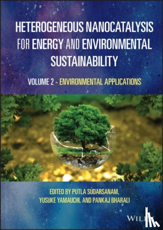  - Heterogeneous Nanocatalysis for Energy and Environmental Sustainability, Volume 2
