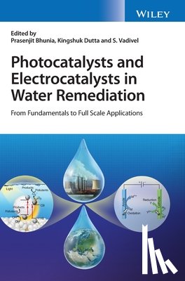  - Photocatalysts and Electrocatalysts in Water Remediation