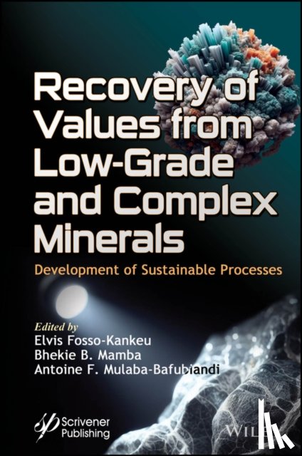  - Recovery of Values from Low-Grade and Complex Minerals