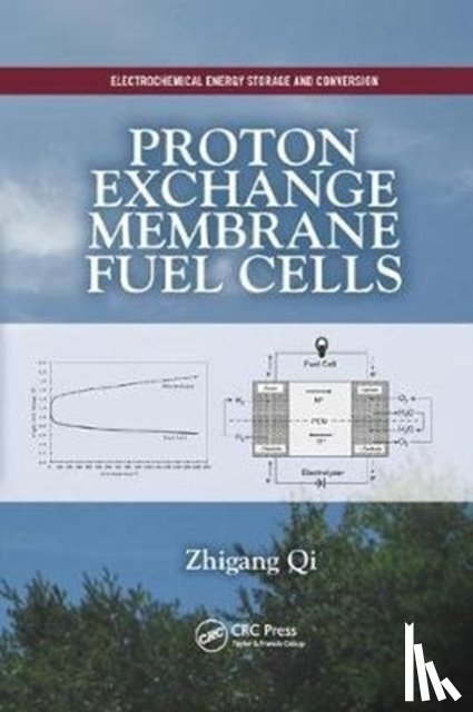 Qi, Zhigang (Wuhan Intepower Fuel Cells Co. - Proton Exchange Membrane Fuel Cells