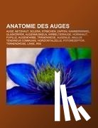  - Anatomie des Auges