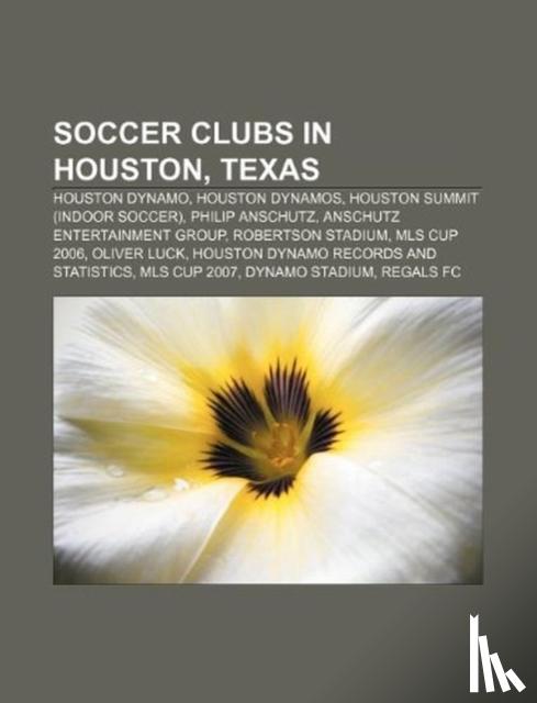 Source Wikipedia - Soccer Clubs in Houston, Texas