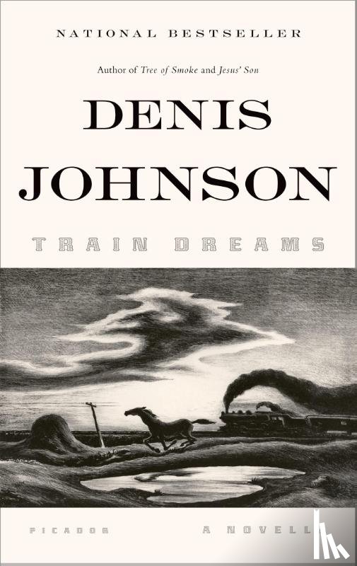Denis Johnson - Train Dreams