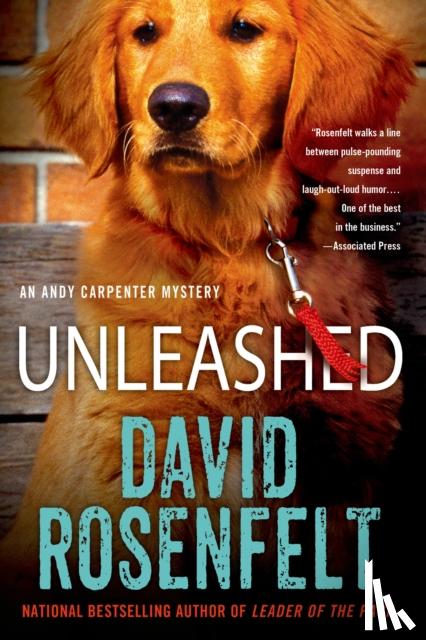 Rosenfelt, David - Unleashed