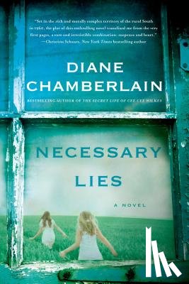 Chamberlain, Diane - Necessary Lies
