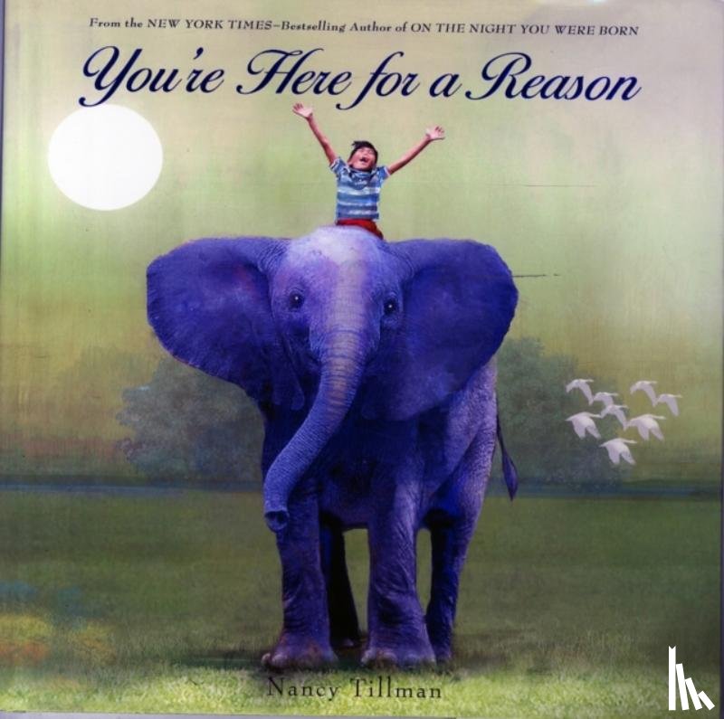 Tillman, Nancy - You're Here for a Reason