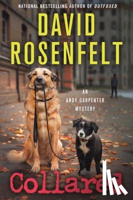 Rosenfelt, David - Collared