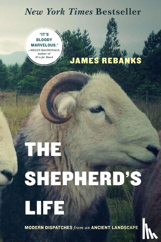 Rebanks, James - The Shepherd's Life