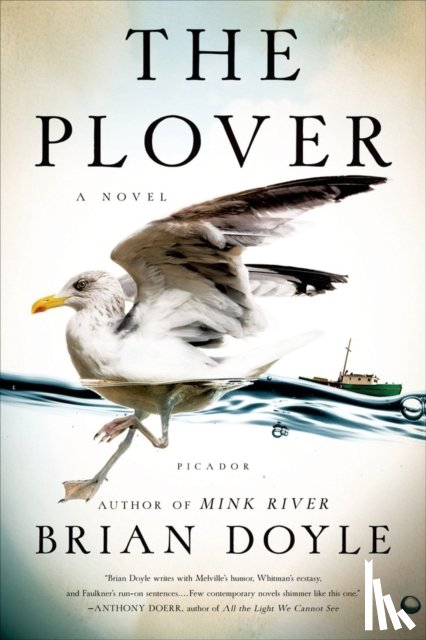 Doyle, Brian - The Plover