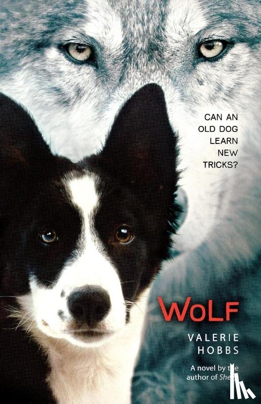 Hobbs, Valerie - Wolf