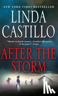 Castillo, Linda - After the Storm