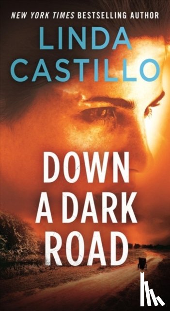 Castillo, Linda - Down a Dark Road