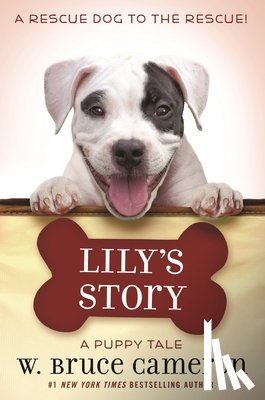 Cameron, W. Bruce - Lily's Story