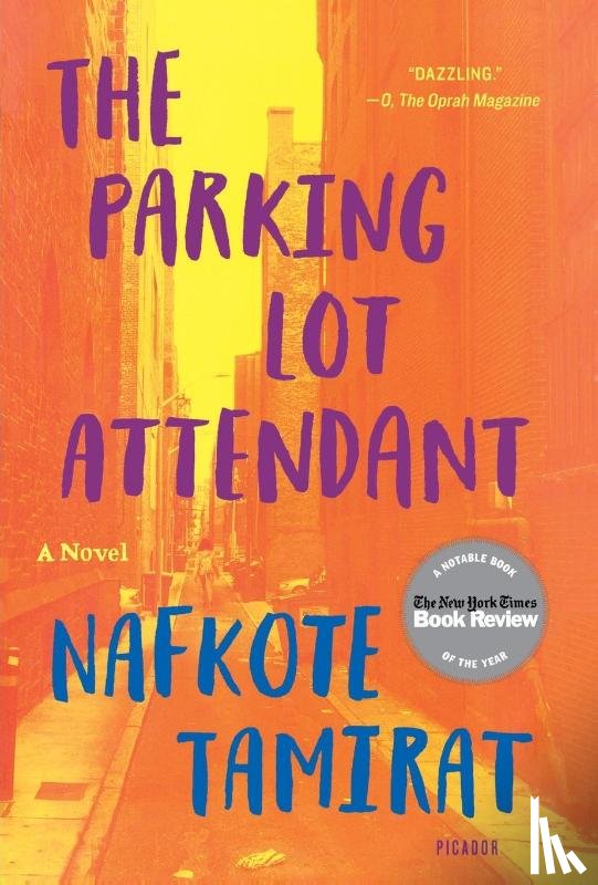Tamirat, Nafkote - Parking Lot Attendant