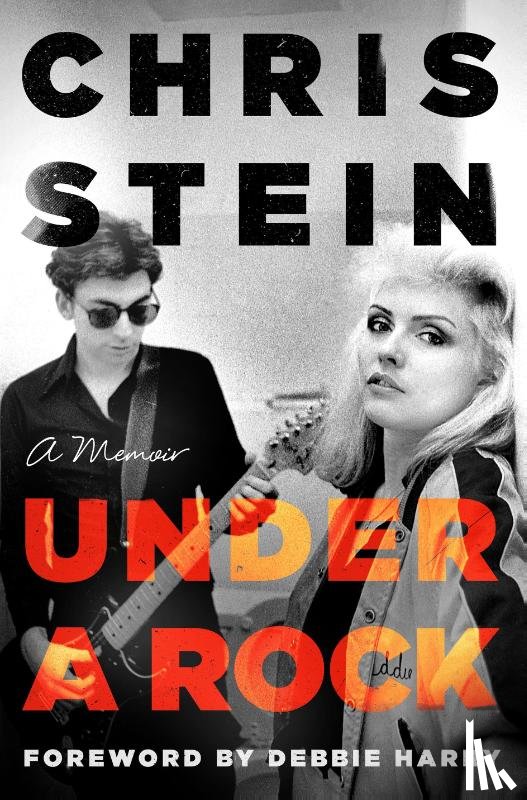 Stein, Chris - Stein, C: Under a Rock