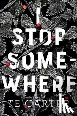 Carter, Te - I Stop Somewhere