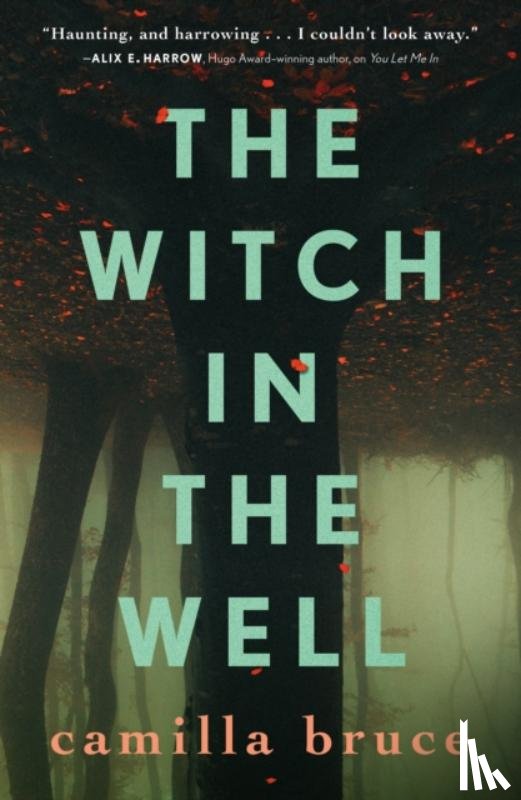 Bruce, Camilla - The Witch in the Well