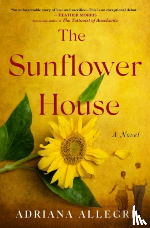 Allegri, Adriana - The Sunflower House